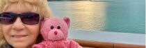 Pink Bear's Retirement Adventures