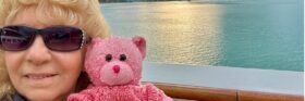 Pink Bear's Retirement Adventures
